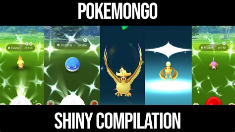 Shiny Mega Pidgeot Pokemon Go Shiny Compilation 279 Youtube