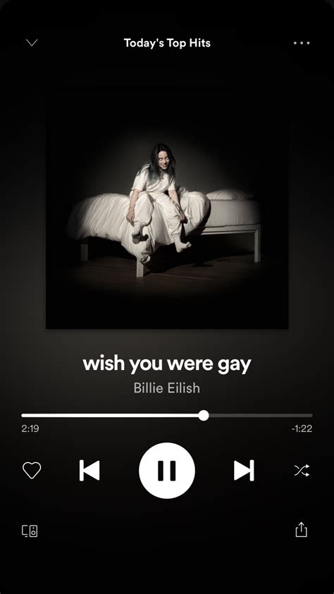 Billie Eilish Wish You Were Gay Wallpapers Wallpapersafari