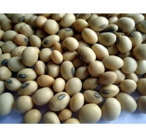 Dried KDS 992 Soybean Seed In Bulk Packaging Type PP Bag Packaging