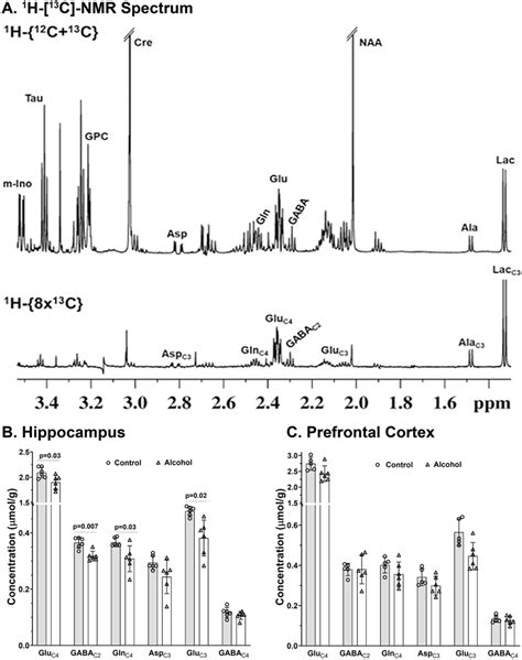 Concentration Of ¹³c Labeled Amino Acids From [1 6 ¹³c2]glucose In Download Scientific Diagram