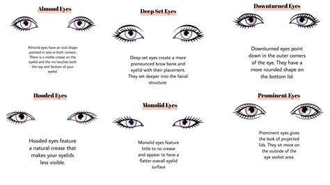 Eye Shape Guide – Eyeliket