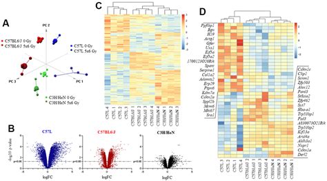 Natural Variation In Macrophage Polarization And Function Impact Pneumocyte Senescence And