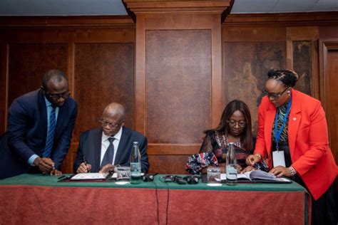 African Development Bank Group Lake Chad Basin Commission Sign