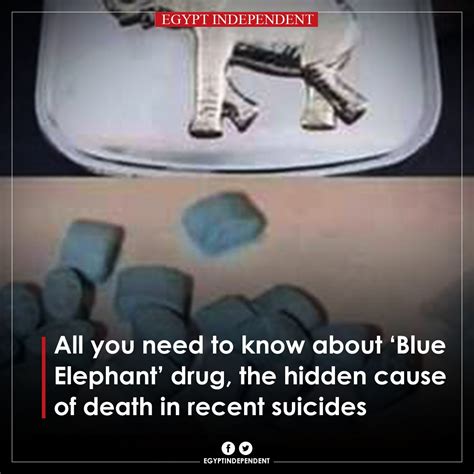 Amay ا All You Need To Know About ‘blue Elephant Drug The Hidden