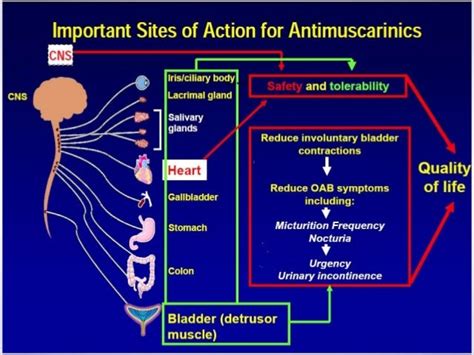 Atropine