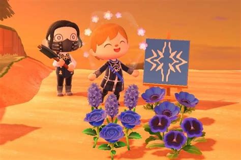 Untitled My Gay Heart I Love Hapi So Much Why Isn T She