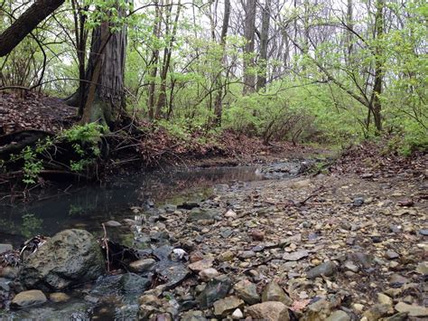 Smith Nature Park And Slyh Run Upper Arlington Oh Dan Keck Flickr