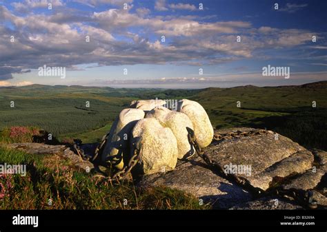 Art Artist Matt Bakers Sculpture Hush In The Landscape On The Top Of