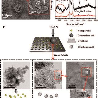 (a) Scanning electron microscopy (SEM) images of the worn surface ...