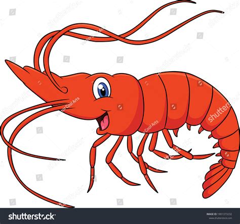 Cute Shrimp Animal Cartoon Illustration Stock Vector Royalty Free