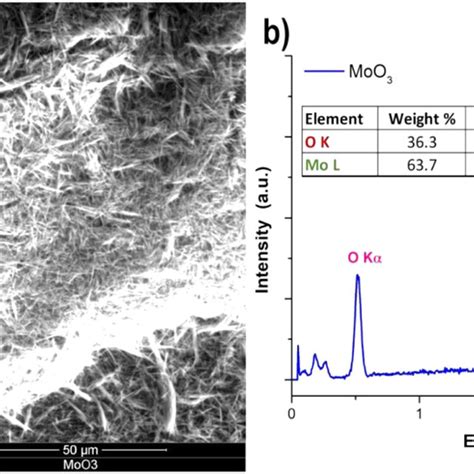 A Scanning Electron Micrograph At X And B Elemental Analysis Of