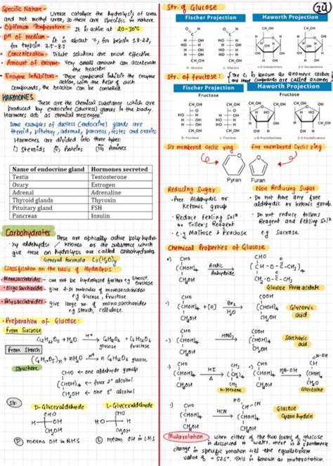 Biomolecules 4 Study Flashcards Teaching Chemistry Chemistry Lessons