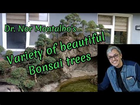 Bonsai Garden Visit And Workshop At Dr Nor Montalbo S Amazing