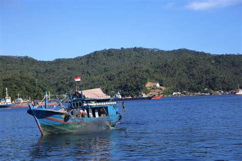 Tuna fishery Bitung, Indonesia - Sea Tales