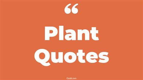 45 Undeniable Robert Plant Quotes | green plant, money plant quotes