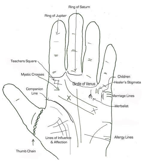 Palmistry handouts | Palmistry reading, Palm reading, Palmistry