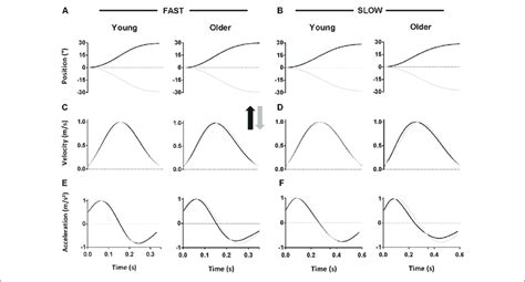 Mean Position A B Velocity C D And Acceleration E F Profiles