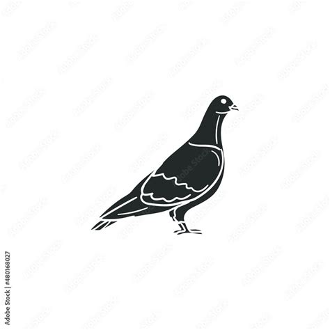 Pidgeon Icon Silhouette Illustration Bird Dove Urban Vector Graphic