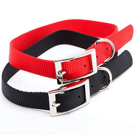 Grreat Choice® Buckle Dog Collar | dog Collars | PetSmart