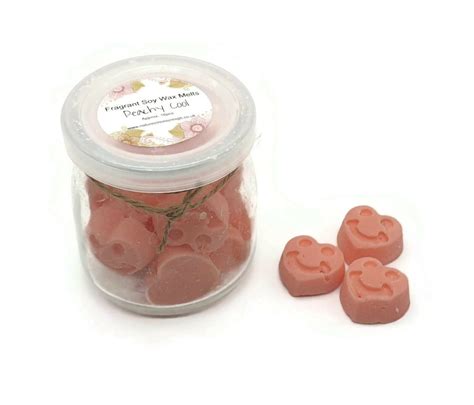 Peachy Cool Scented Soy Wax Melts Fragrant Wax Melts 16 Pieces Eco Friendly Candle Intention