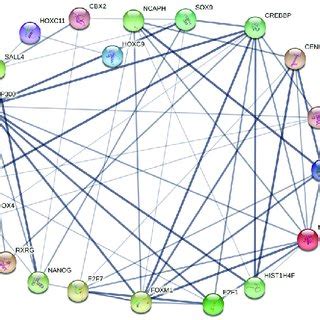 Enrichment Analysis Of Differentially Expressed Transcription Factor