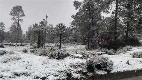 La Parte Alta De Los Bosques De Tlazala De Fabela Se Vistieron De Blanco