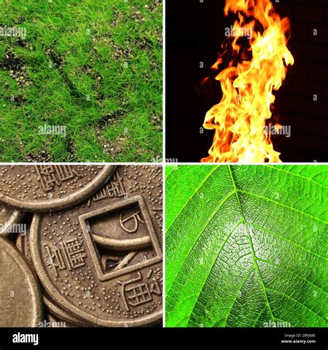 Collage Of Feng Shui Destructive Cycle With Five Elements Water Wood