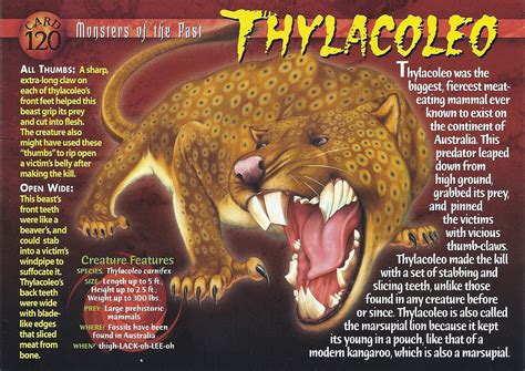 Thylacoleo Weird N Wild Creatures Wiki Fandom