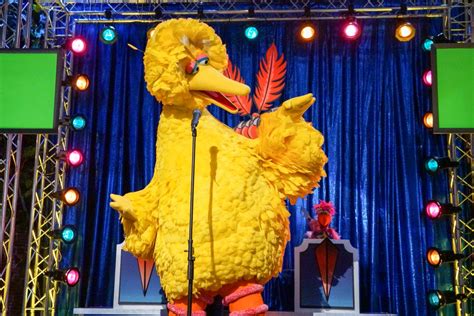 Big Bird On Twitter Sorry I Don T Tweet That Much I Like Singing