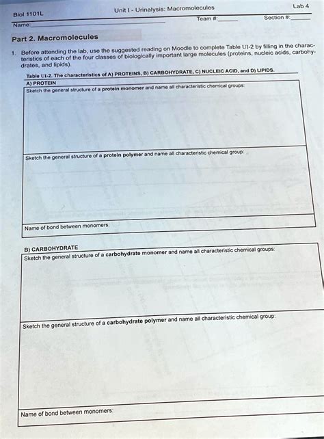 SOLVED Unit I Urinalysis Macromolecules Lab 4 Name Team Section
