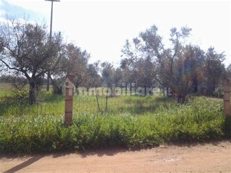 Terreno Agricolo Strada Provinciale San C Ugento Rif