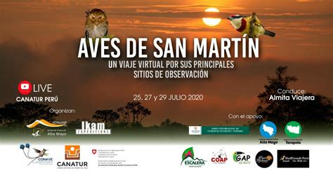 Aves de San Martín Un viaje virtual por sus principales sitios de