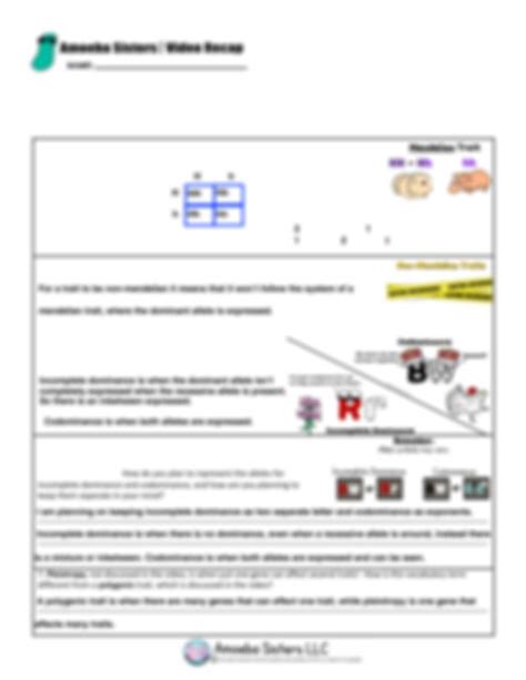 Amoeba Sisters Monohybrid Crosses Worksheet Answer Key Printable Calendars At A Glance