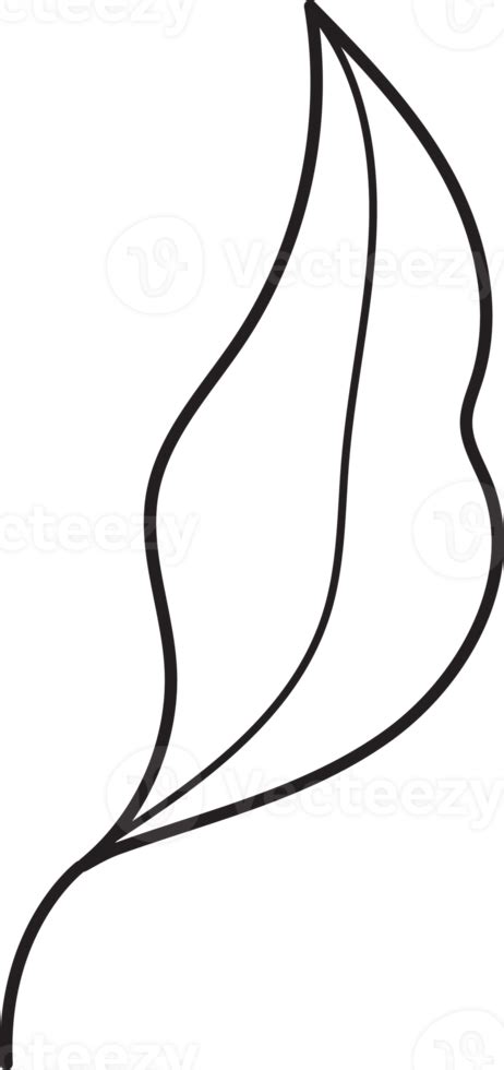 Leaf Drawing Isolated 22353975 Png
