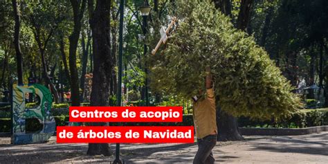 Chilango Dónde llevar mi árbol de Navidad Centros de acopio en CDMX