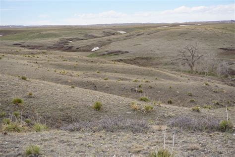 Farthing Wy Usa Pronghorn Hunting Infinite Outdoors