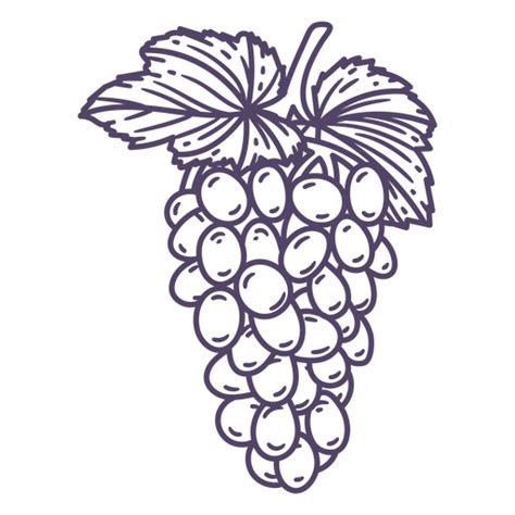 Bunch Of Grapes Hand Drawn Png And Svg Design For T Shirts