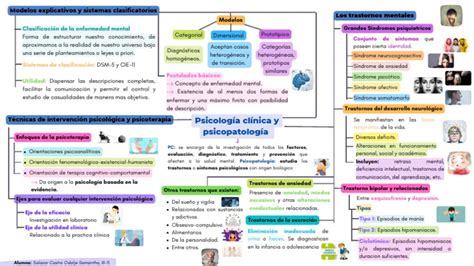 Mind Map Unit 4 Pdf Trastorno Mental Psicoterapia