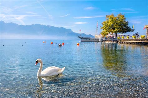 Lake Geneva in Vevey. Vaud Canton, Switzerland Stock Image - Image of ...