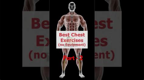 Full Chest Exercises No Equipment Part 2 Massivechestworkout