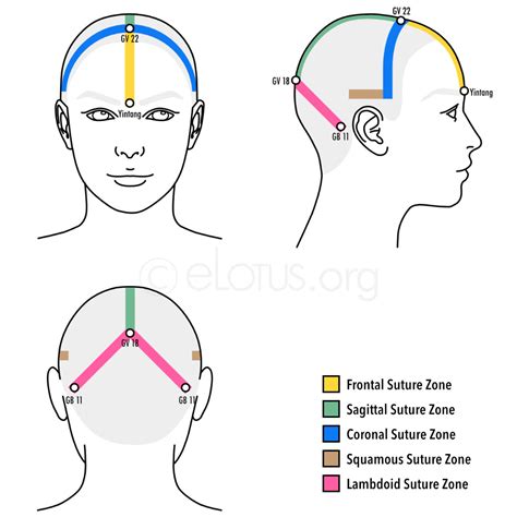 Tais Scalp Acupuncture Master Tungs Acupuncture Elotus Core