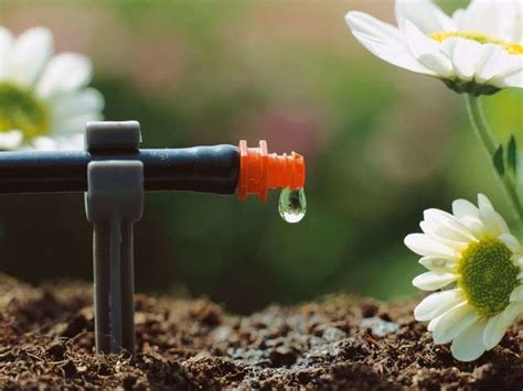 Устройство системы автоматического полива для теплицы | Garden watering ...