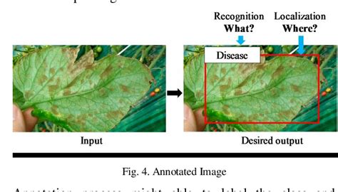 Figure 3 from Detection and Classification of Plant Leaf Diseases by using Deep Learning ...