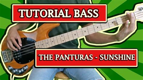 Tutorial Bass The Panturas Sunshine Mudah Dan Lengkap Youtube