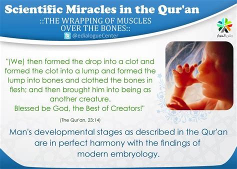 Scientific Miracles In Quran Mariannaafenoble