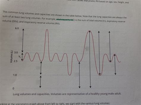 Toad Heart Diagram Quizlet