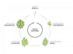 Diseño sostenible o diseño sustentable vs ecodiseño Biblioteca ETSIDI UPM