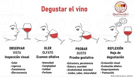 Tonicidad En Vino Todo Lo Que Necesitas Saber Vinotecavirtual