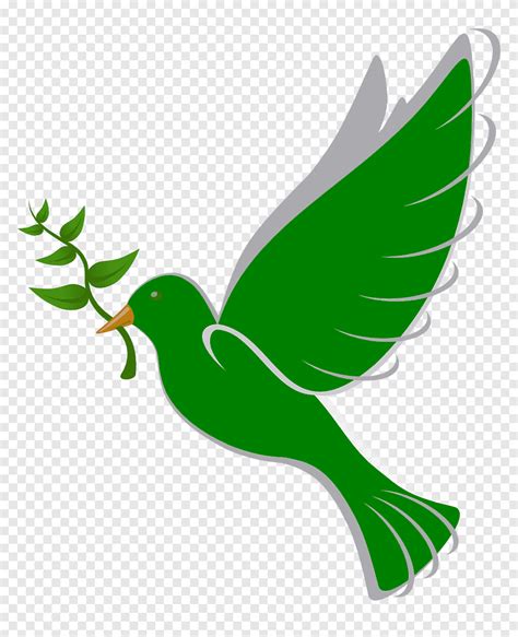 Columbidae Bird Peace Doves As Symbols Peace Dove Leaf Branch Png