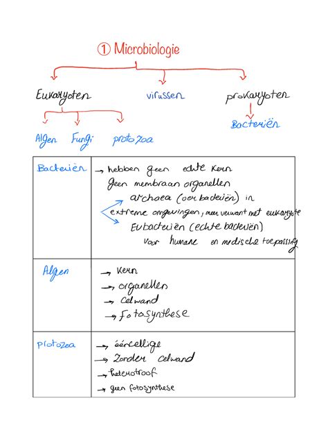 Samenvatting Microbiologie Ts Eukaryoten Virussen Prokaryoten En 1